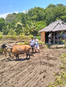 Bayan Trip Authentic Culture